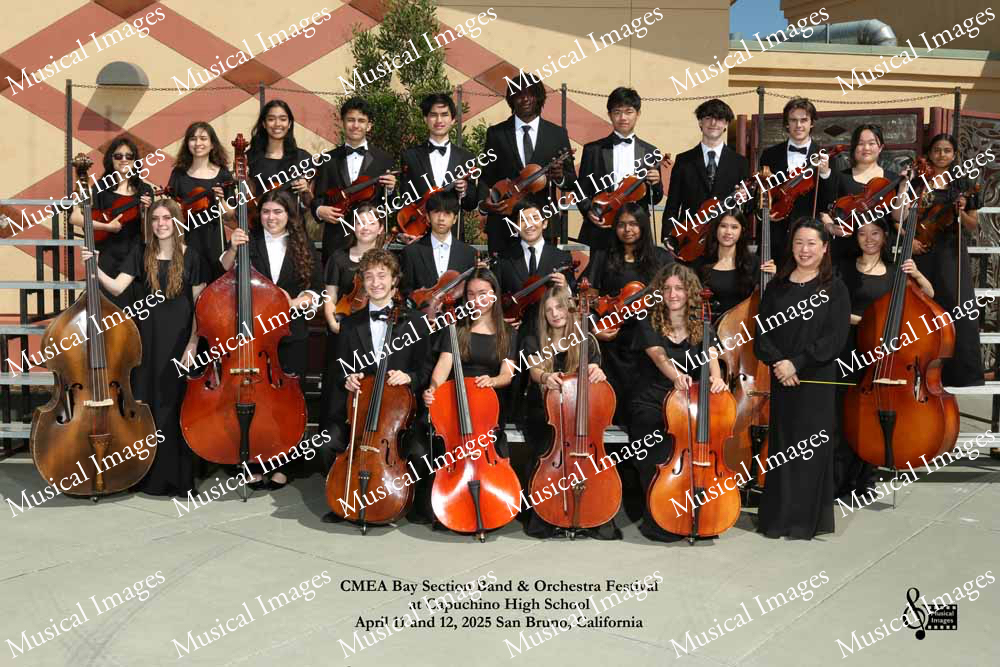 Musical Images